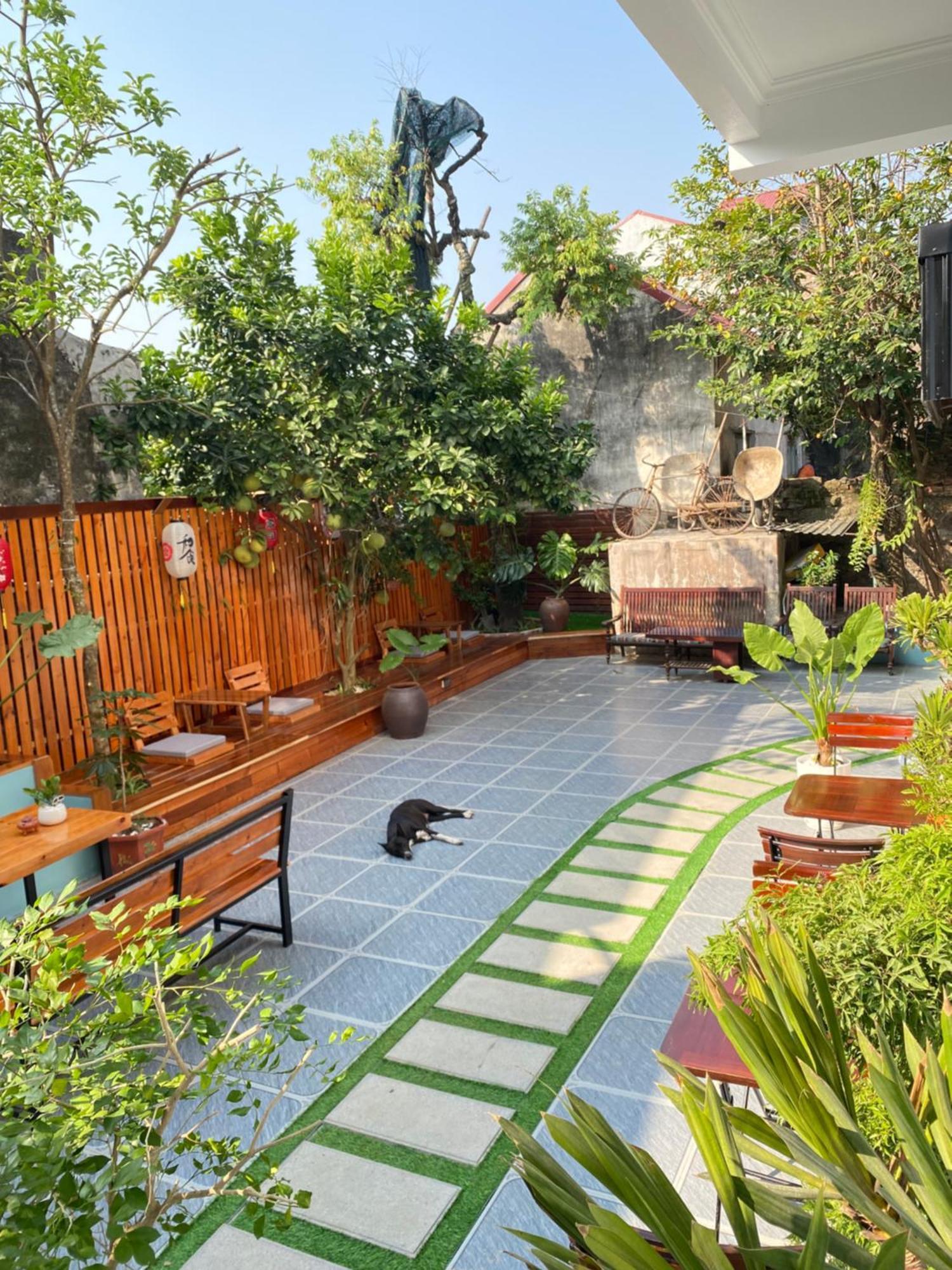 Ohayo Tam Coc Homestay Ninh Binh Esterno foto
