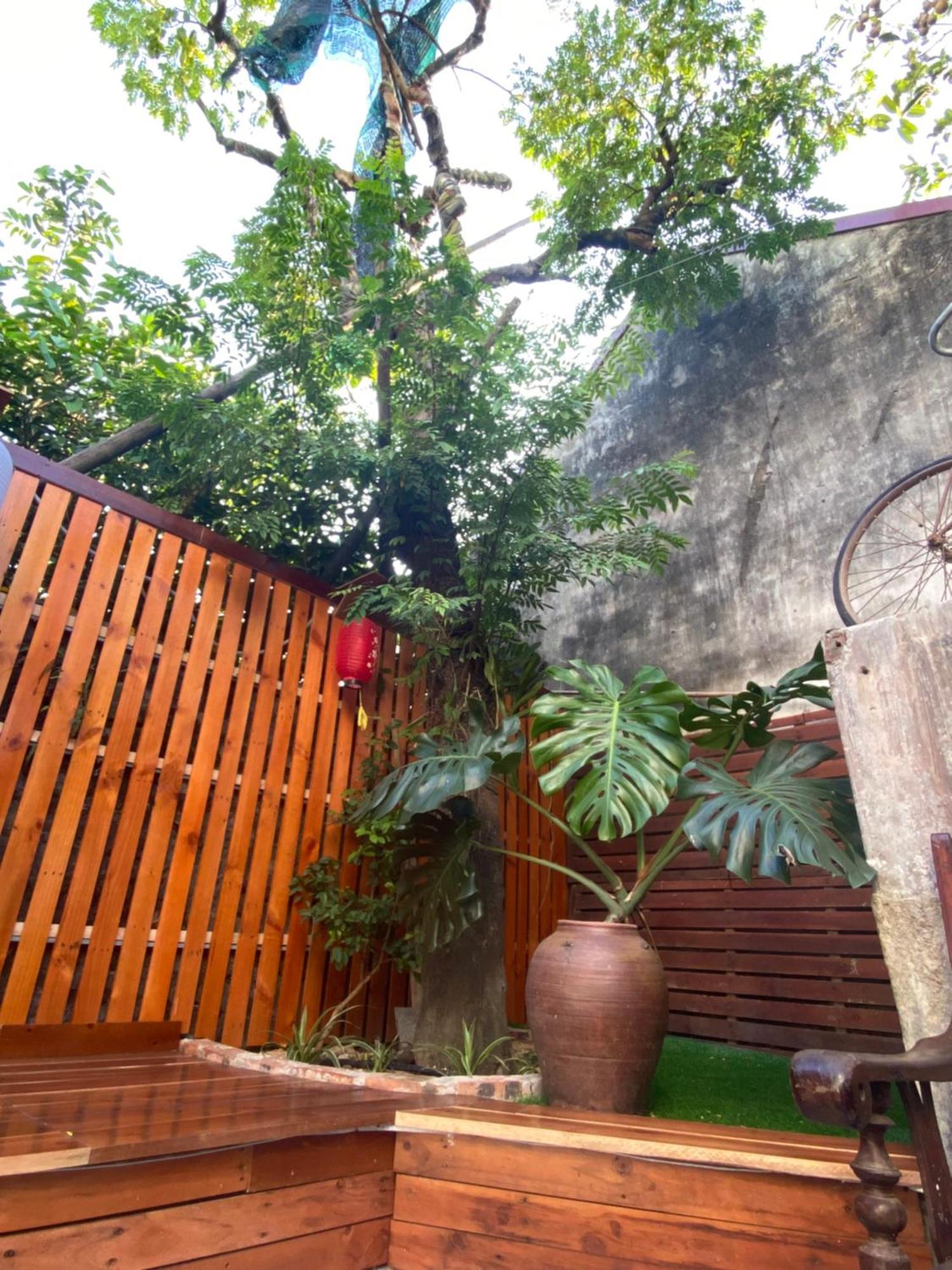 Ohayo Tam Coc Homestay Ninh Binh Esterno foto