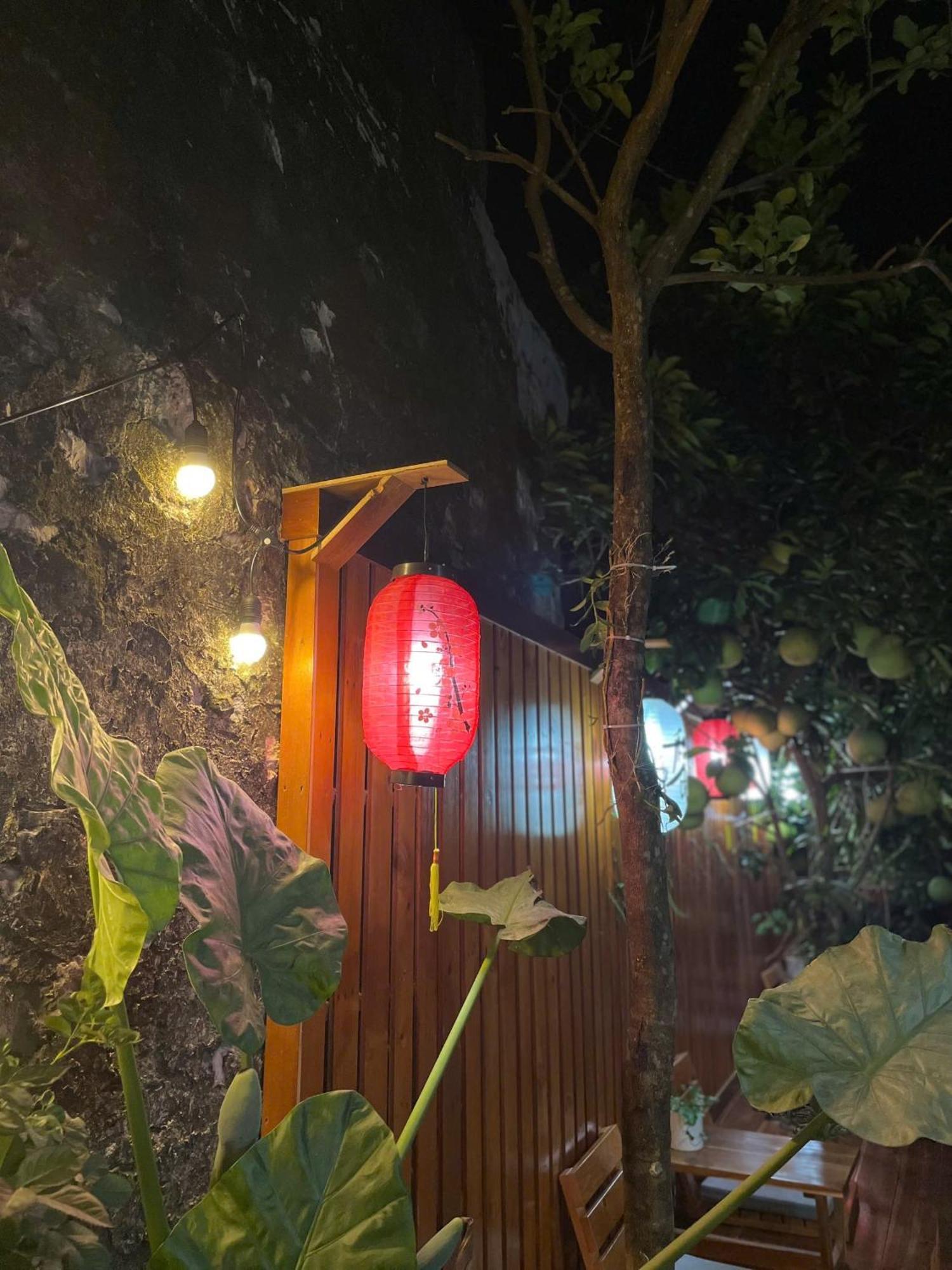 Ohayo Tam Coc Homestay Ninh Binh Esterno foto