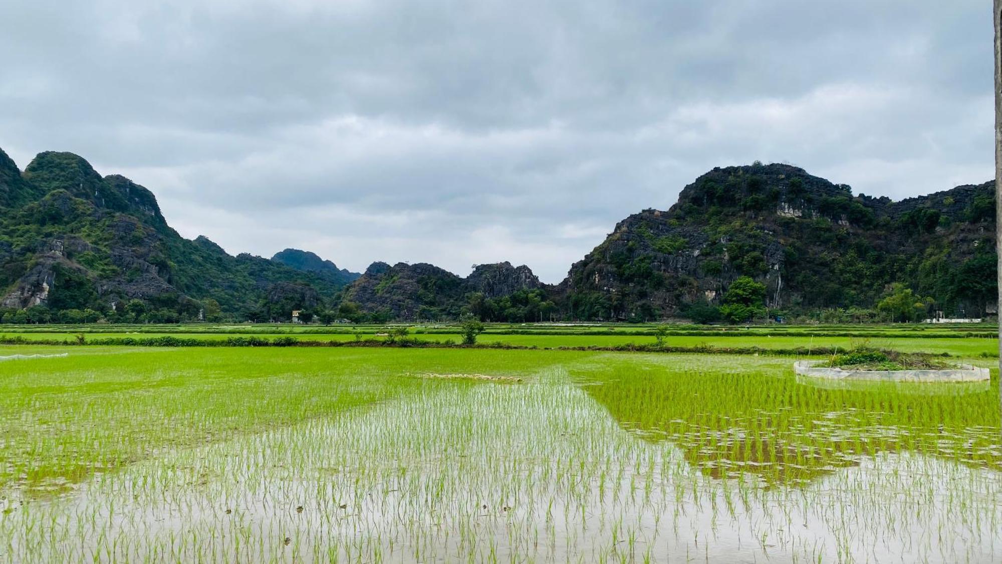 Ohayo Tam Coc Homestay Ninh Binh Esterno foto