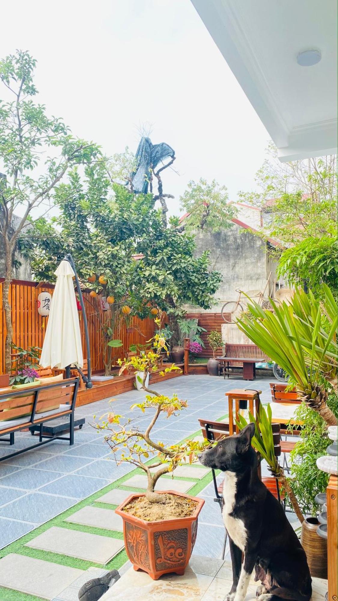 Ohayo Tam Coc Homestay Ninh Binh Esterno foto